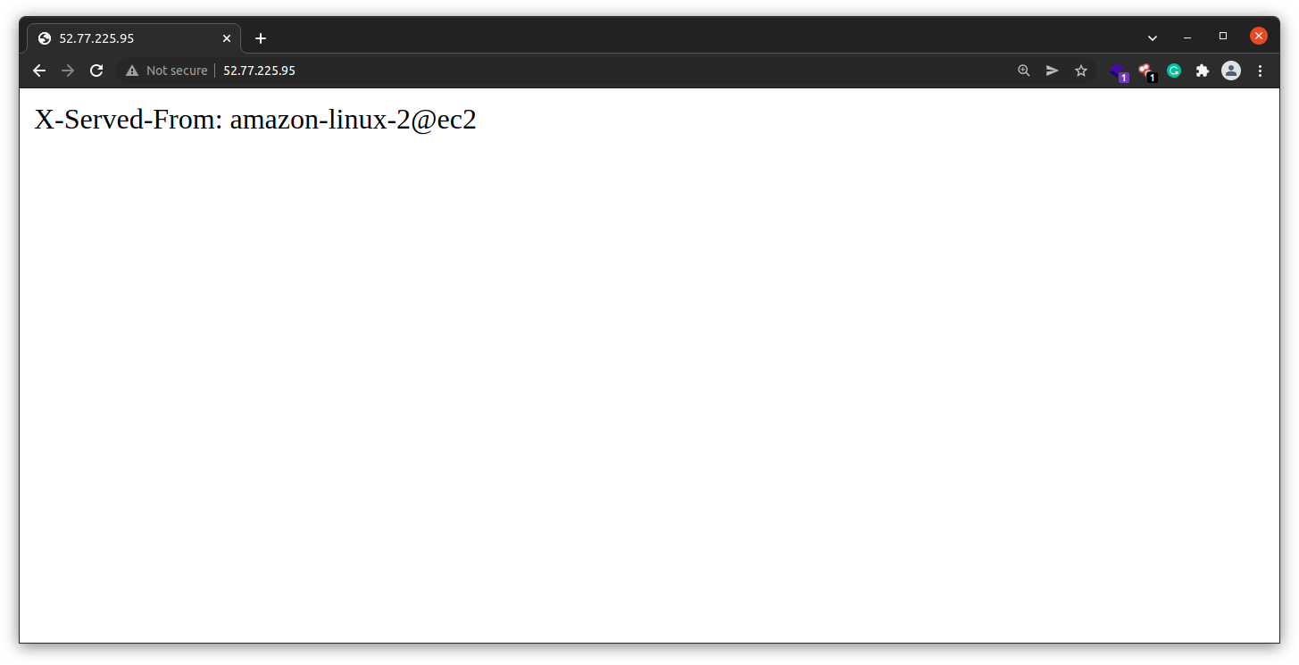 Install NGINX di Amazon Linux 2